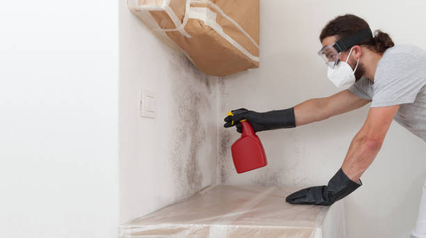 Professional Mold Removal technician working in Barton, MD