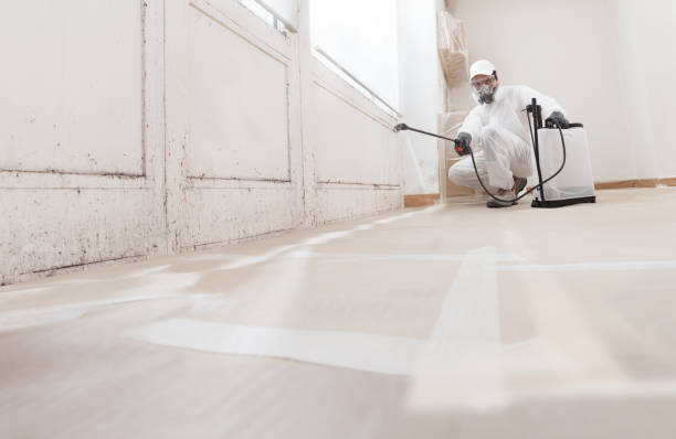 24/7 Emergency Mold Removal experts in Barton, MD